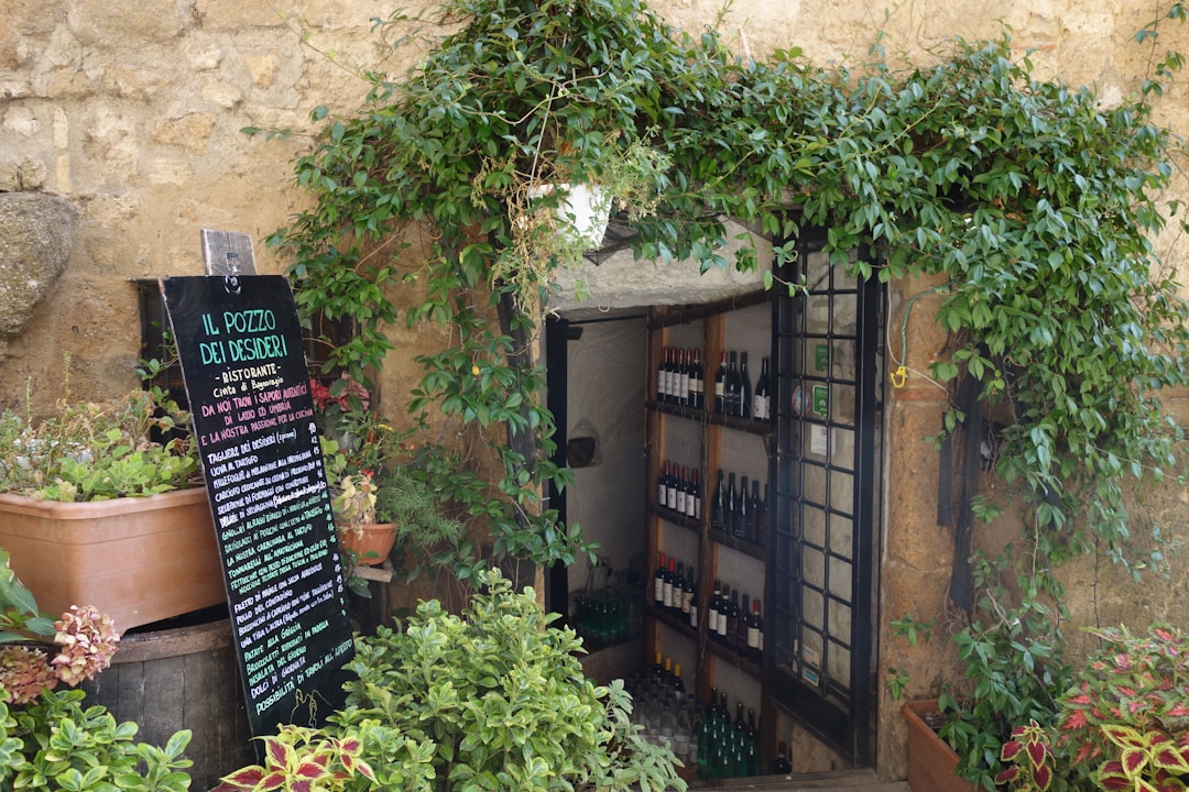 Entrance to a wine cellar with shelves of bottles.